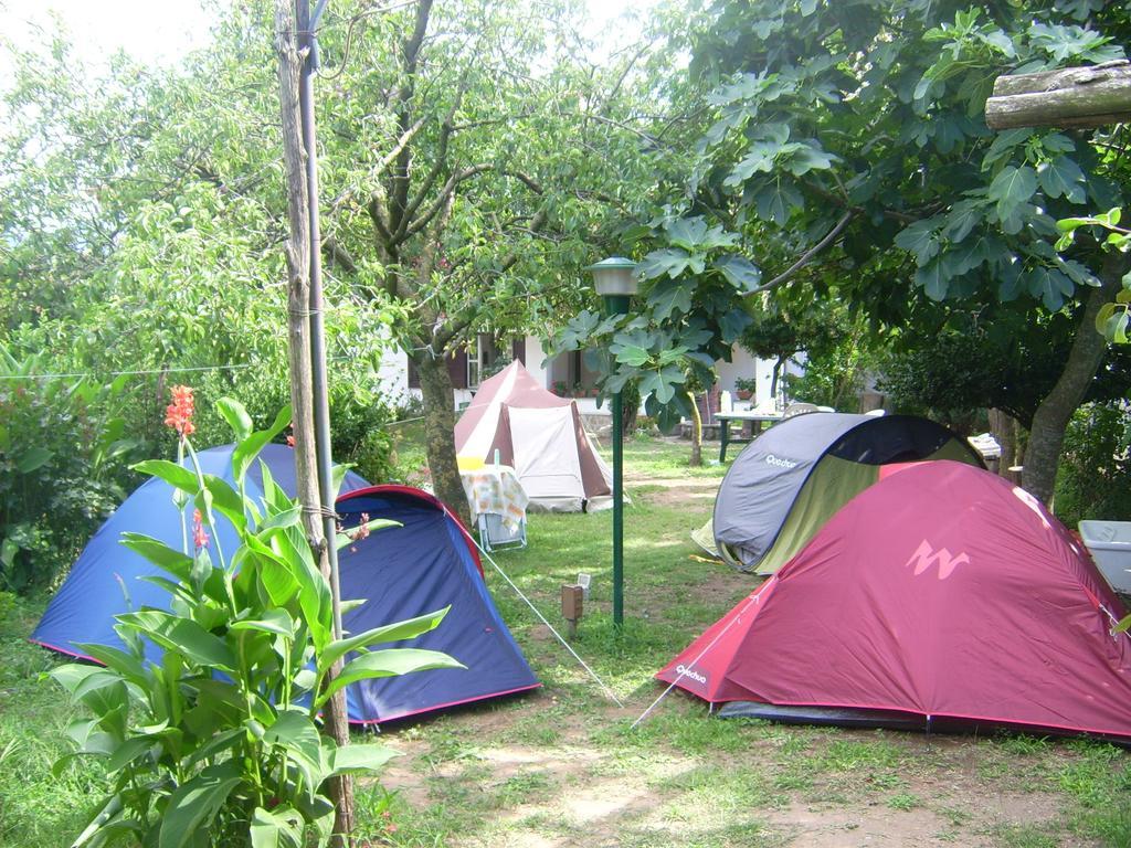 Agriturismo Mare E Monti Tramonti Exterior foto